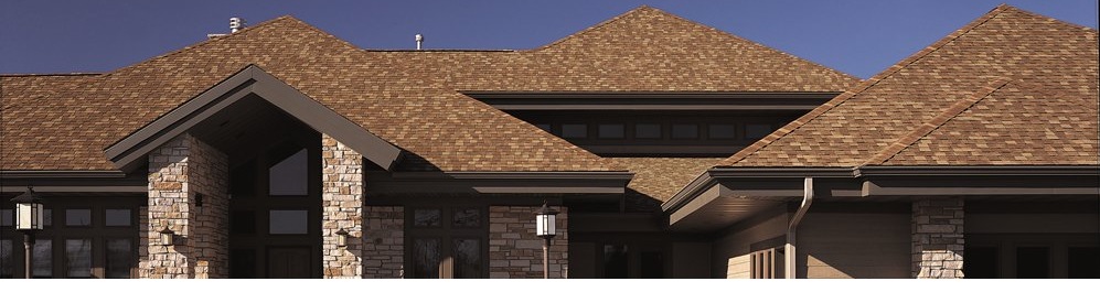 Marsa Alam underawter close up